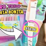 COMPRÉ TODA LA PAPELERÍA BONITA BARATA ¡Fue demasiada! ?Craftingeek