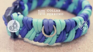 Collar para perro casero: cómo hacerlo (How-to)