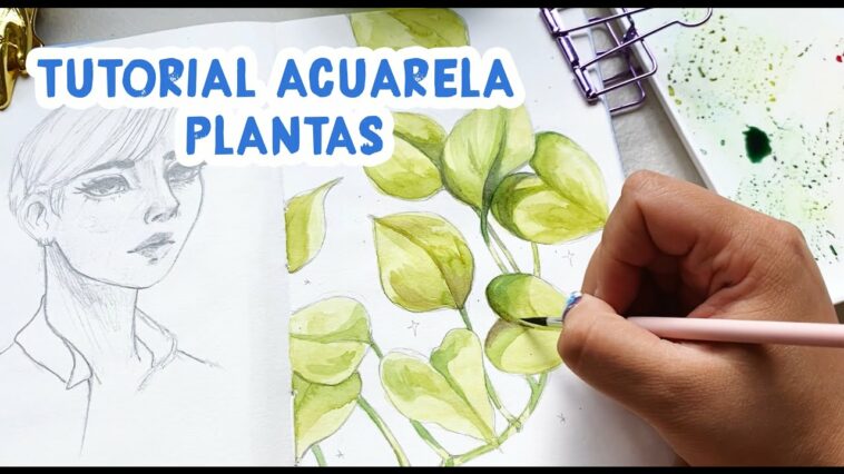 TUTORIAL ACUARELA - Como pintar plantitas en  acuarela ?