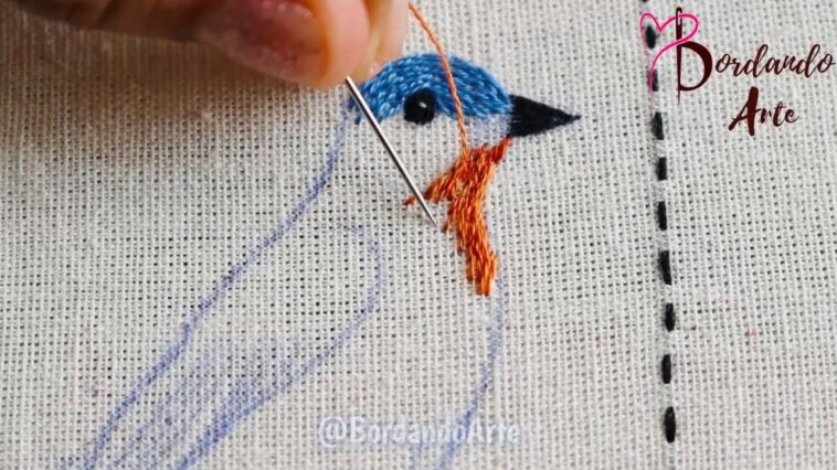 BORDADO A MANO PINTAR CON HILOS AVE | HAND EMBROIDERY NEEDLE PAINTING