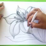 Dibujos A Lápiz Como Dibujar Una Flor / How To Draw A Flower