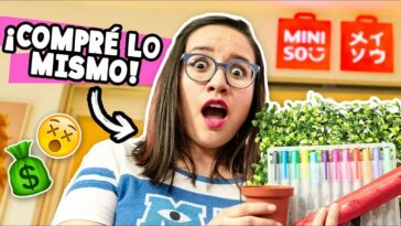 COMPRÉ LO MISMO QUE LA PERSONA ENFRENTE DE MI ?? Craftingeek