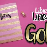 DIY: Libreta Lineas de ORO - REGRESO A CLASES