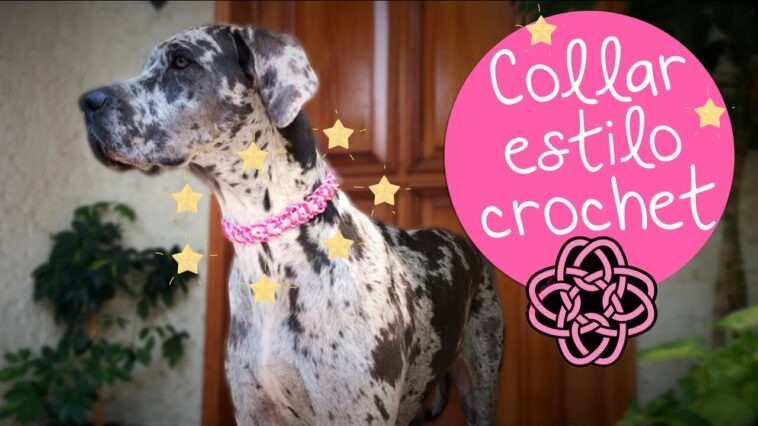 Collar para Mascotas de Nudos estilo Crochet :: Diy PetLovers :: Macrame