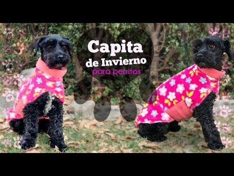 Ropita para perro :: Capa de Inviernos para Perritos :: Chuladas Creativas