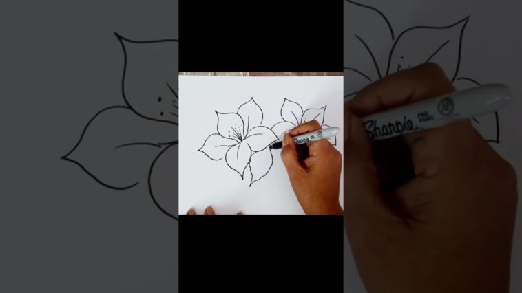Cómo Dibujar Flores Fácil