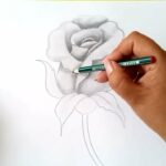 Dibujos a Lápiz / Cómo Dibujar una Rosa