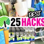 25 *BEST* Dollar Store HACKS 2023! High-End $1 Dollar Tree DIYs & ideas!