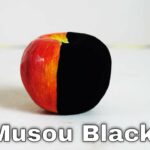 Musou Black—The (New) World's Blackest Paint Turns Anything Into A Shadow