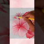 Pintura en Tela para Principiantes Pintando Flores Fácil