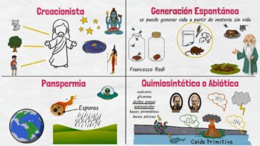 Teorías del Origen de la Vida