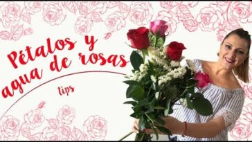 Hacks Rosas :: Agua de Rosas Usos Prácticos