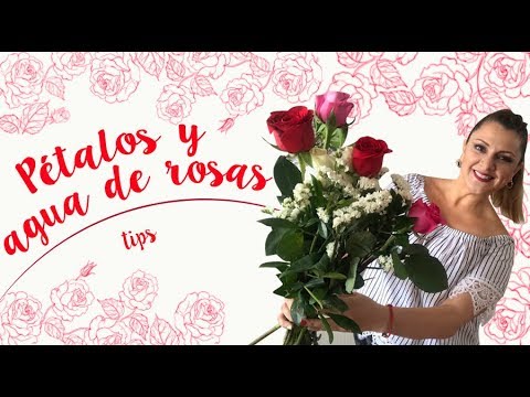 Hacks Rosas :: Agua de Rosas Usos Prácticos