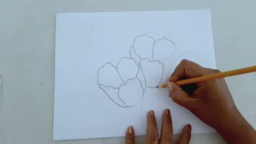 Como Dibujar Flores Fácil / Tulipanes