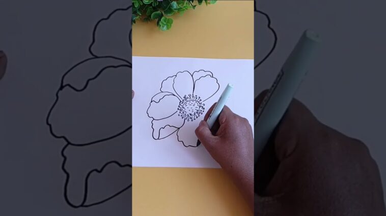 Cómo Dibujar Flores