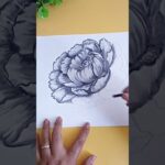 Cómo Dibujar una Flor con Carboncillo