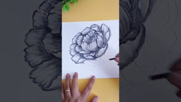 Cómo Dibujar una Flor con Carboncillo