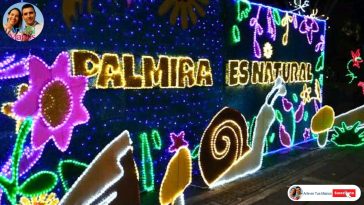 🔴ALUMBRADO NAVIDEÑO DE NUESTRA CIUDAD PALMIRA - COLOMBIA 2024 - EN VIVO